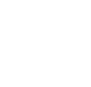 logo-violent-nomad